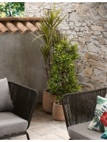 Jardinières béton bruns ronds mis 2 LIAS