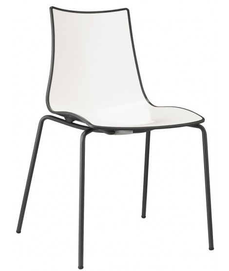 ZEBRA BICOLORE Farbwahl in zweifarbigem Polymer 4 verchromten Beinen oder lackiertem Wohnvertragsstuhl