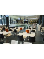 ZEBRA BICOLORE Farbwahl in zweifarbigem Polymer 4 verchromten Beinen oder lackiertem Wohnvertragsstuhl