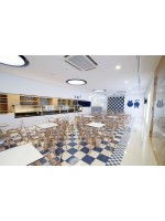 NATÜRLICHE ZEBRA Antishock transparent oder transparent geräucherte natürliche Buche Beine oder Wenge Stuhl Design