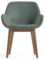 CLEM color choice in fabric chair with armrests legs in dark ash design home armchair