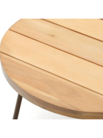 ABLIMA 100x50 cm table basse avec plateau en bois d'acacia massif et structure en acier marron