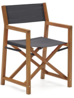 BAILA Chaise de metteur en scène pliante avec accoudoirs pour l'extérieur en bois massif