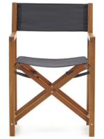 BAILA Chaise de metteur en scène pliante avec accoudoirs pour l'extérieur en bois massif