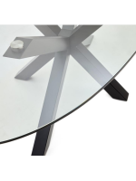 FEGER table ovale 200x100 cm plateau en verre trempé et piètement en acier noir design maison
