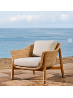 DONALD fauteuil en bois de teck massif et rotin synthétique et coussins amovibles pour l'intérieur et l'extérieur